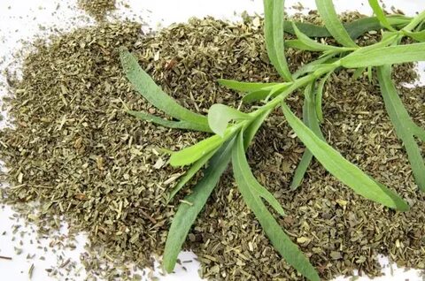 تصویر 5 از عرضه ویژه سبزی ترخون خشک + قیمت نهایی